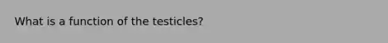 What is a function of the testicles?