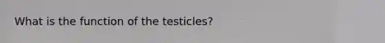 What is the function of the testicles?