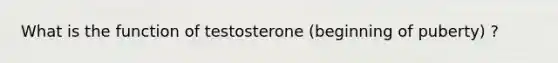 What is the function of testosterone (beginning of puberty) ?