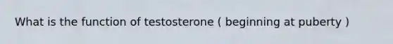 What is the function of testosterone ( beginning at puberty )