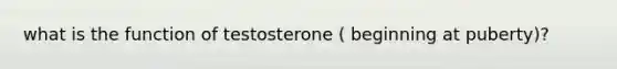 what is the function of testosterone ( beginning at puberty)?