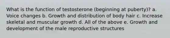 What is the function of testosterone (beginning at puberty)? a. Voice changes b. Growth and distribution of body hair c. Increase skeletal and muscular growth d. All of the above e. Growth and development of the male reproductive structures