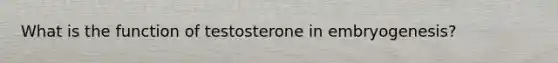 What is the function of testosterone in embryogenesis?