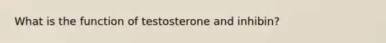 What is the function of testosterone and inhibin?