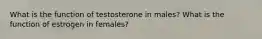 What is the function of testosterone in males? What is the function of estrogen in females?