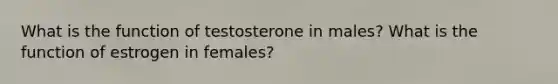 What is the function of testosterone in males? What is the function of estrogen in females?