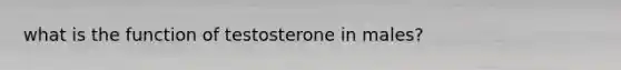 what is the function of testosterone in males?