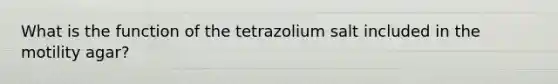 What is the function of the tetrazolium salt included in the motility agar?