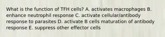 What is the function of TFH cells? A. activates macrophages B. enhance neutrophil response C. activate cellular/antibody response to parasites D. activate B cells maturation of antibody response E. suppress other effector cells