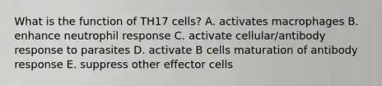 What is the function of TH17 cells? A. activates macrophages B. enhance neutrophil response C. activate cellular/antibody response to parasites D. activate B cells maturation of antibody response E. suppress other effector cells