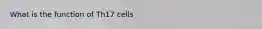 What is the function of Th17 cells