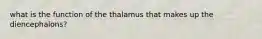 what is the function of the thalamus that makes up the diencephalons?