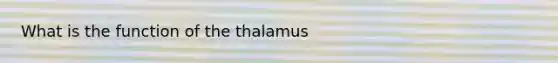 What is the function of the thalamus