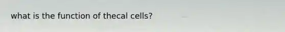 what is the function of thecal cells?