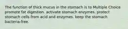 The function of thick mucus in the stomach is to Multiple Choice promote fat digestion. activate stomach enzymes. protect stomach cells from acid and enzymes. keep the stomach bacteria-free.