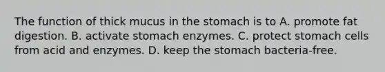 The function of thick mucus in the stomach is to A. promote fat digestion. B. activate stomach enzymes. C. protect stomach cells from acid and enzymes. D. keep the stomach bacteria-free.