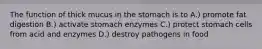 The function of thick mucus in the stomach is to A.) promote fat digestion B.) activate stomach enzymes C.) protect stomach cells from acid and enzymes D.) destroy pathogens in food