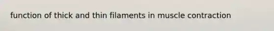 function of thick and thin filaments in muscle contraction