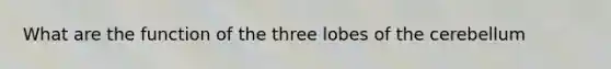 What are the function of the three lobes of the cerebellum