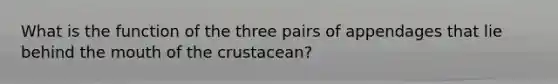 What is the function of the three pairs of appendages that lie behind the mouth of the crustacean?