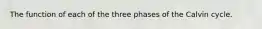 The function of each of the three phases of the Calvin cycle.
