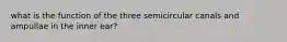 what is the function of the three semicircular canals and ampullae in the inner ear?