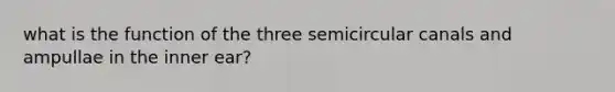 what is the function of the three semicircular canals and ampullae in the inner ear?