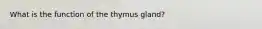 What is the function of the thymus gland?