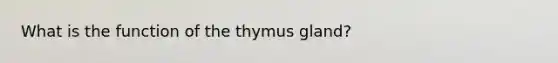 What is the function of the thymus gland?