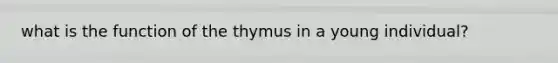 what is the function of the thymus in a young individual?