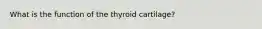 What is the function of the thyroid cartilage?