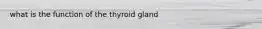 what is the function of the thyroid gland