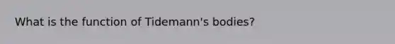 What is the function of Tidemann's bodies?