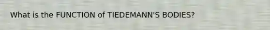 What is the FUNCTION of TIEDEMANN'S BODIES?