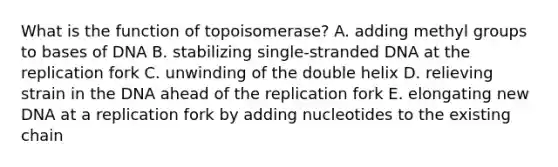 What is the function of topoisomerase? A. adding methyl groups to bases of DNA B. stabilizing single-stranded DNA at the replication fork C. unwinding of the double helix D. relieving strain in the DNA ahead of the replication fork E. elongating new DNA at a replication fork by adding nucleotides to the existing chain