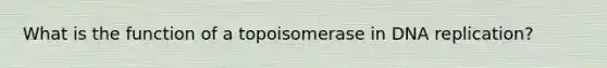 What is the function of a topoisomerase in DNA replication?