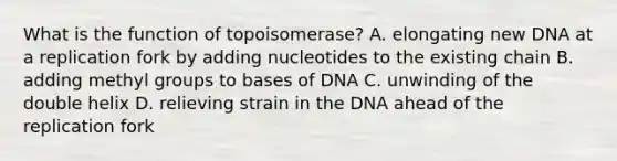 What is the function of topoisomerase? A. elongating new DNA at a replication fork by adding nucleotides to the existing chain B. adding methyl groups to bases of DNA C. unwinding of the double helix D. relieving strain in the DNA ahead of the replication fork