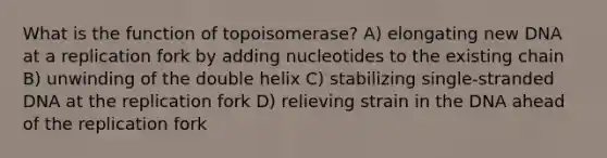 What is the function of topoisomerase? A) elongating new DNA at a replication fork by adding nucleotides to the existing chain B) unwinding of the double helix C) stabilizing single-stranded DNA at the replication fork D) relieving strain in the DNA ahead of the replication fork