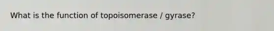 What is the function of topoisomerase / gyrase?