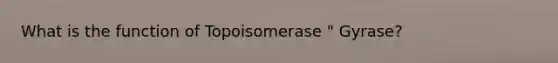 What is the function of Topoisomerase " Gyrase?