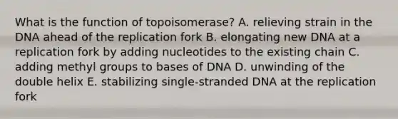 What is the function of topoisomerase? A. relieving strain in the DNA ahead of the replication fork B. elongating new DNA at a replication fork by adding nucleotides to the existing chain C. adding methyl groups to bases of DNA D. unwinding of the double helix E. stabilizing single-stranded DNA at the replication fork