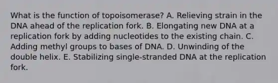 What is the function of topoisomerase? A. Relieving strain in the DNA ahead of the replication fork. B. Elongating new DNA at a replication fork by adding nucleotides to the existing chain. C. Adding methyl groups to bases of DNA. D. Unwinding of the double helix. E. Stabilizing single-stranded DNA at the replication fork.