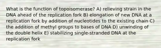 What is the function of topoisomerase? A) relieving strain in the DNA ahead of the replication fork B) elongation of new DNA at a replication fork by addition of nucleotides to the existing chain C) the addition of methyl groups to bases of DNA D) unwinding of the double helix E) stabilizing single-stranded DNA at the replication fork