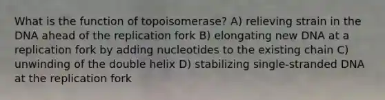 What is the function of topoisomerase? A) relieving strain in the DNA ahead of the replication fork B) elongating new DNA at a replication fork by adding nucleotides to the existing chain C) unwinding of the double helix D) stabilizing single-stranded DNA at the replication fork