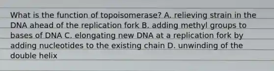 What is the function of topoisomerase? A. relieving strain in the DNA ahead of the replication fork B. adding methyl groups to bases of DNA C. elongating new DNA at a replication fork by adding nucleotides to the existing chain D. unwinding of the double helix