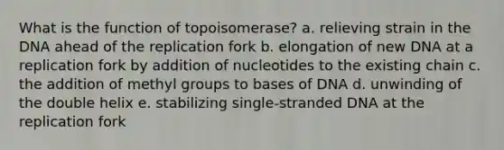 What is the function of topoisomerase? a. relieving strain in the DNA ahead of the replication fork b. elongation of new DNA at a replication fork by addition of nucleotides to the existing chain c. the addition of methyl groups to bases of DNA d. unwinding of the double helix e. stabilizing single-stranded DNA at the replication fork