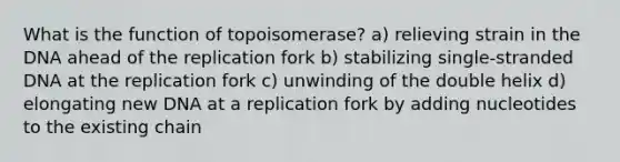 What is the function of topoisomerase? a) relieving strain in the DNA ahead of the replication fork b) stabilizing single-stranded DNA at the replication fork c) unwinding of the double helix d) elongating new DNA at a replication fork by adding nucleotides to the existing chain