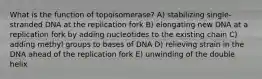 What is the function of topoisomerase? A) stabilizing single-stranded DNA at the replication fork B) elongating new DNA at a replication fork by adding nucleotides to the existing chain C) adding methyl groups to bases of DNA D) relieving strain in the DNA ahead of the replication fork E) unwinding of the double helix