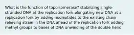 What is the function of topoisomerase? stabilizing single-stranded DNA at the replication fork elongating new DNA at a replication fork by adding nucleotides to the existing chain relieving strain in the DNA ahead of the replication fork adding methyl groups to bases of DNA unwinding of the double helix