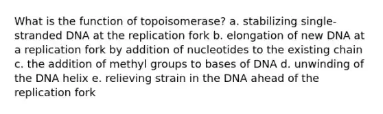 What is the function of topoisomerase? a. stabilizing single-stranded DNA at the replication fork b. elongation of new DNA at a replication fork by addition of nucleotides to the existing chain c. the addition of methyl groups to bases of DNA d. unwinding of the DNA helix e. relieving strain in the DNA ahead of the replication fork